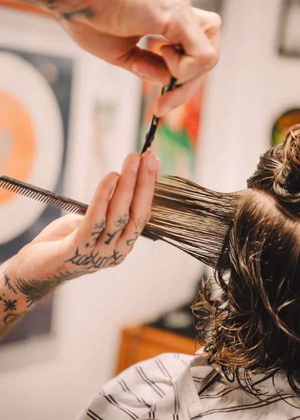 Stara Szkoła zdjęcie 3